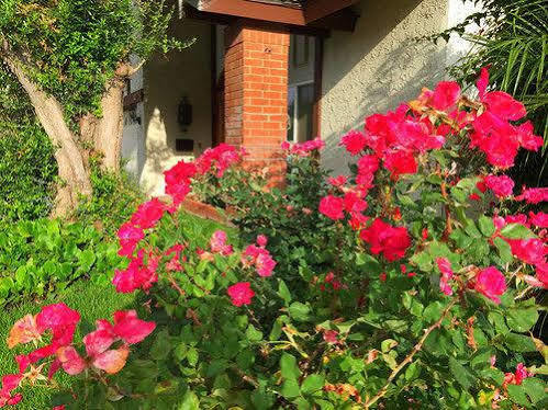 Romantic And Luxury Disney Villa Anaheim Exterior photo